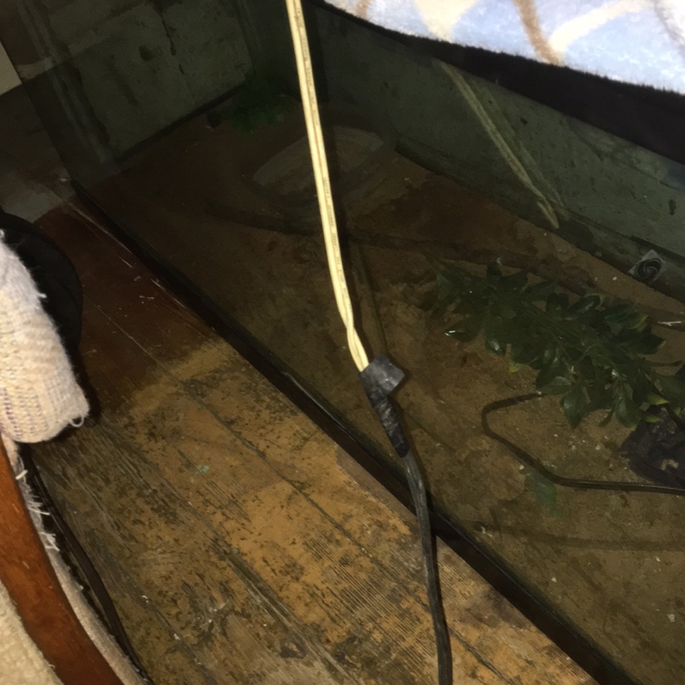 Animal Tank - Picture 3 of 4